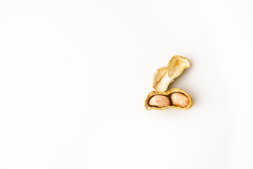 Single ground nut on the white background