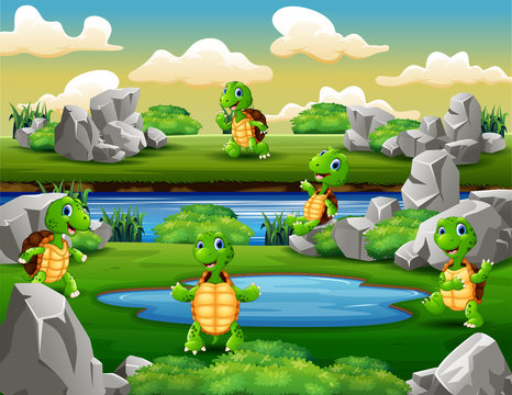 A group of turtles playing near the waterhole