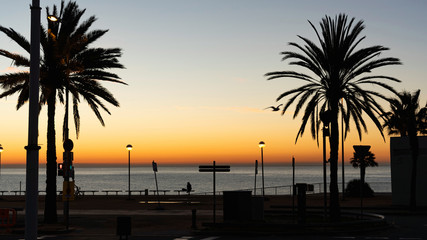 Fototapeta premium Sunrise over the sea in Barcelona. Morning, promenade, silhouettes of palm trees.