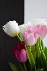 bouquet of pink tulips in the sun