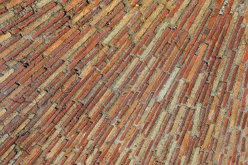 Patterned floor walkway in the park