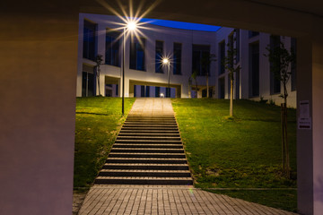 walkway in the park