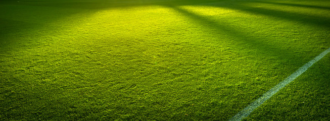 Side lines panorama of an empty green sports field before a game