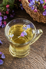 Herbal tea with fresh lungwort or pulmonaria flowers