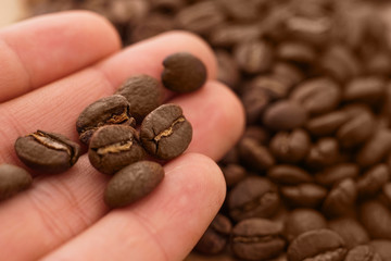 male teen hand holding coffee bean