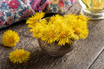 Obraz na płótnie Canvas Coltsfoot, or Tussilago farfara flowers in a bowl