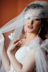Closeup shot of elegant, brunette bride in vintage white dress posing under veil closeup. Bride...