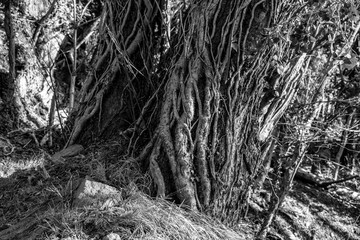 Parco del Beigua, Liguria (Savona, Varazze)
