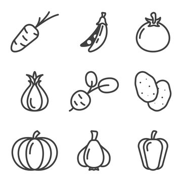 Vegetables icons set. Linear design. Includes such generalities as carrots, potatoes, pumpkin and others. Isolated vector on a white background.