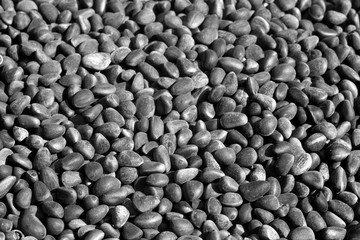 Pine nuts close-up with blur effect in black and white.
