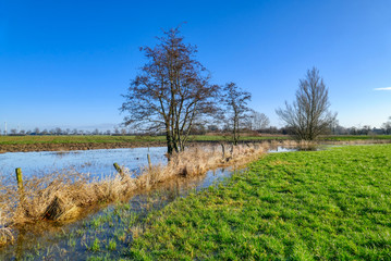 Wiesenlandschaft mit Wasser im Reeser Meer