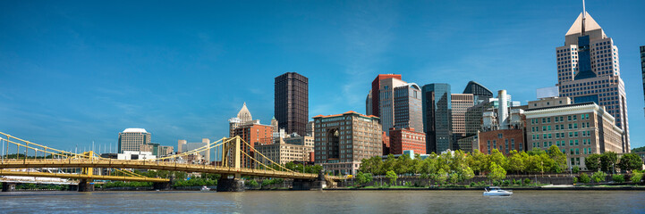 Fototapeta na wymiar City skyline pamoramic view over the Allegheny River and Roberto Clemente Bridge in downtown Pittsburgh Pennsylvania USA