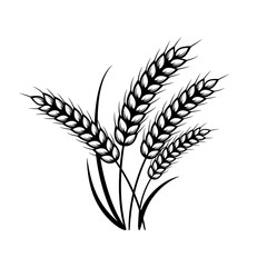 Ears of wheat. Vector elements for design