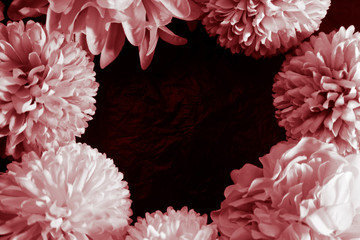 Beautiful abstract color pink and red flowers graphic on black background and light black and pink flower frame and pink leaves texture, dark background, red banner happy valentine