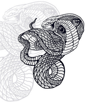king cobra snake vector illustration