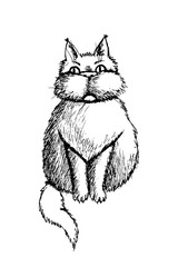 A fluffy fat cat is sitting on the floor. He has a serious suspicious look, large plump cheeks, thick hair, ears with tassels, thick paws with claws, a bushy tail. Black and white isolated drawning