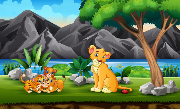 Lion family playing n the jungle