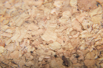 cork close up