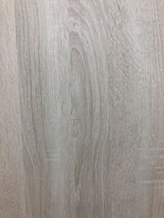 texture of wood background