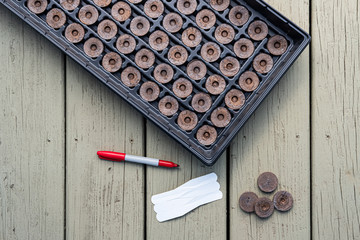 Spring gardening, dry peat pellets getting ready for water with labels and marker