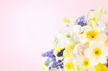 Spring blossoming yellow and white daffodils posy, springtime blooming narcissus (jonquil) flowers bouquet festive background