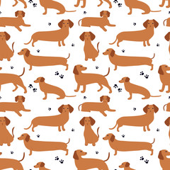 Seamless pattern with German badger-dog, dachshund. Cute cartoon character. Animal print.
