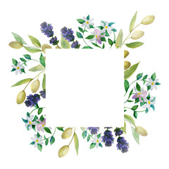 Watercolor hand painted nature provence squared border frame with green olives branch, purple lavender flowers and white bergamot plant on the white background for invite and greeting card