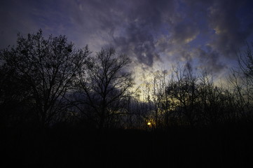  sunny sunset in early spring through tree branches