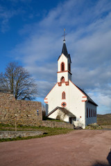 Fototapeta na wymiar mauerreste von burg neu-bamberg und katholische bergkirche