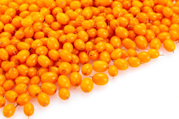 Sea buckthorn berries on white background