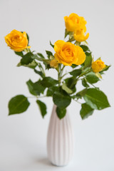 Obraz premium Yellow roses in a White jug on a white table on a neutral background. Fresh flower.