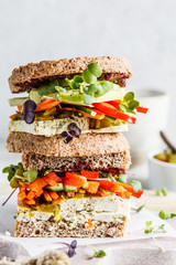 Vegan sandwiches with tofu, pepper, carrot, hummus and green dressing on the board.