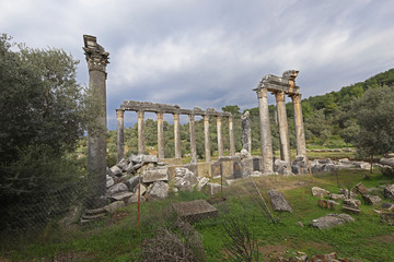 Turkey / Muğla / Milas ; The ruins of the temple of Euromos.