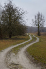curving road goes into the distance, around the field and spring trees