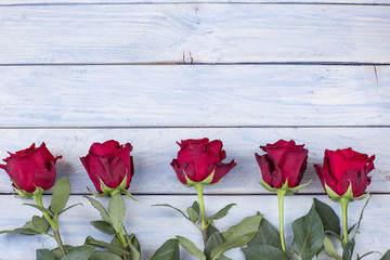 five red roses in a row on a wooden background