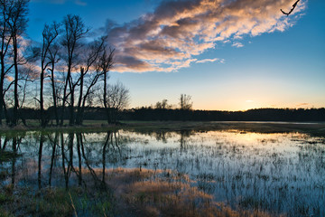 Mönchbruch am Abend
