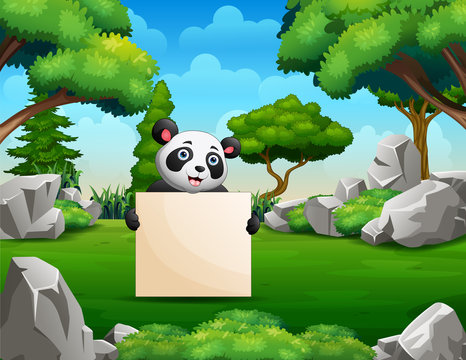 Panda holding a blank sign in the park
