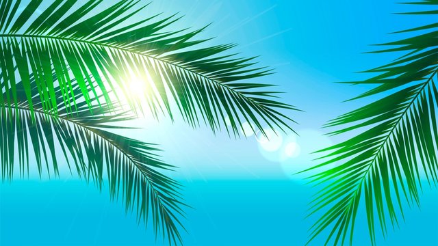 Background with palm leaves and the bright sun on the background of the sea, vacation on the tropical islands © lidiia