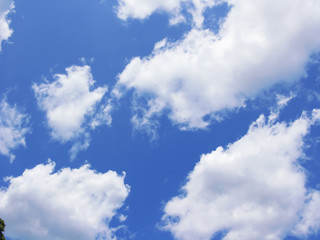 Naklejka na ściany i meble Blue sky with fluffy white clouds in day light