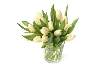 White tulips bouquet in glass vase isolated on white background. Spring bouquet of fresh tulip flowers..