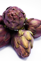 Fototapeta premium Heads of raw fresh purple artichoke plant ready to cook
