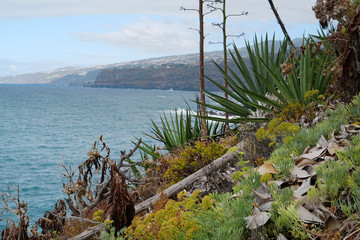 Beautiful coast of Tenerife island