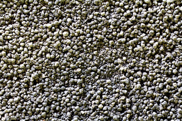 Fertilizer pellets, Organic fertilizer