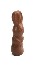 chocolate bunny isolated