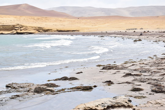 Scenery in Paracas, Peru
