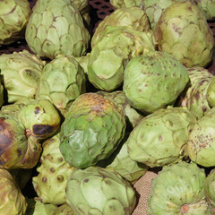 Fototapeta premium Close-up full frame view of organic cherimoya sugar apple fruits displayed at a market stand 