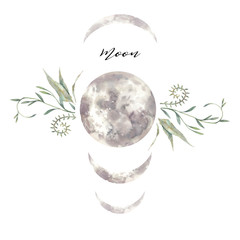 Watercolor moon and plants label. Isolated logo design with plants and lunar silhouette
