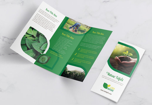 Nature Trifold Brochure Layout with Green Accents