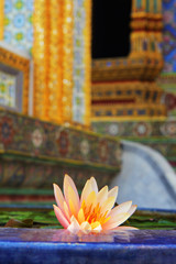 water Lily on a bright background of a Buddhist temple