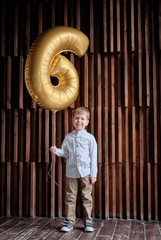 birthday boy in a photo studio with a ball number 6. boy at the birthday party. decoration with...